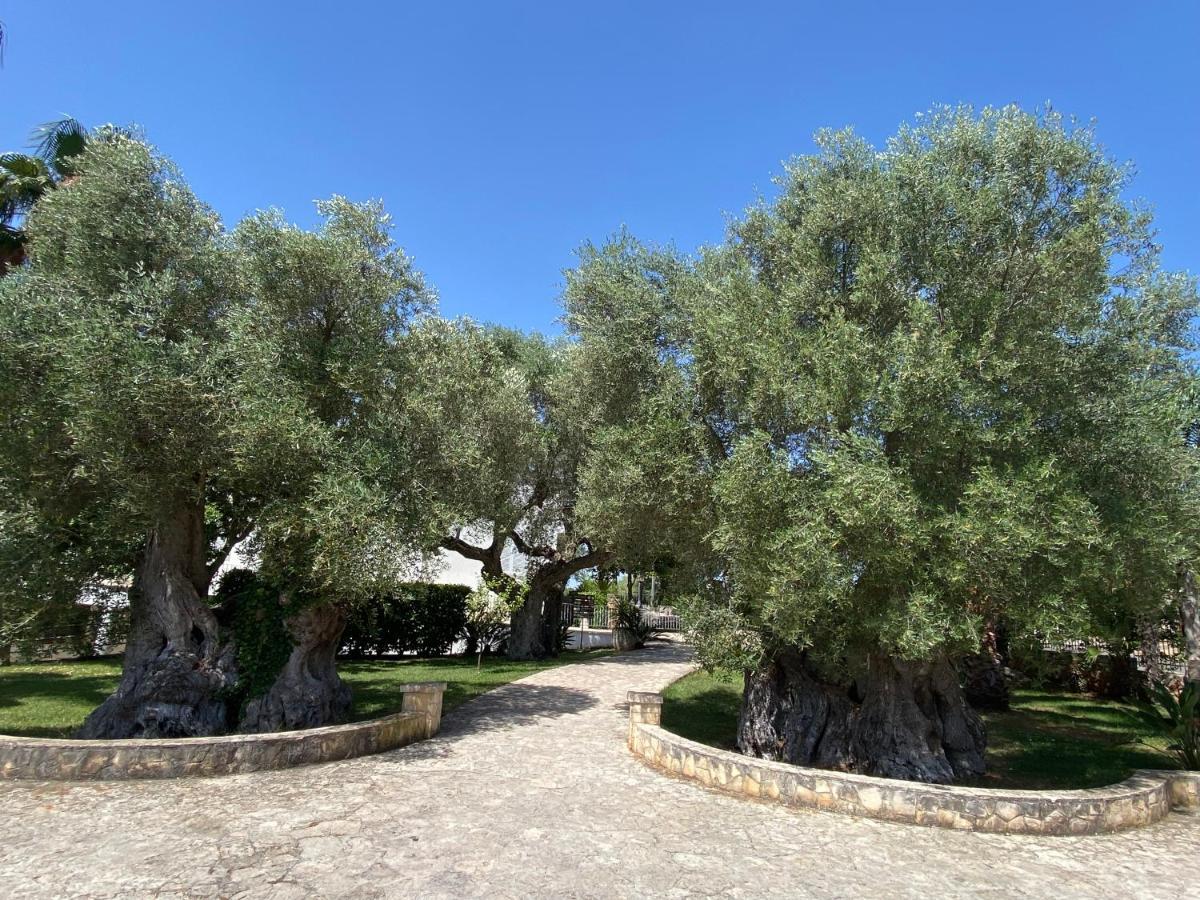 Citta Bianca Country Resort Ostuni Zewnętrze zdjęcie