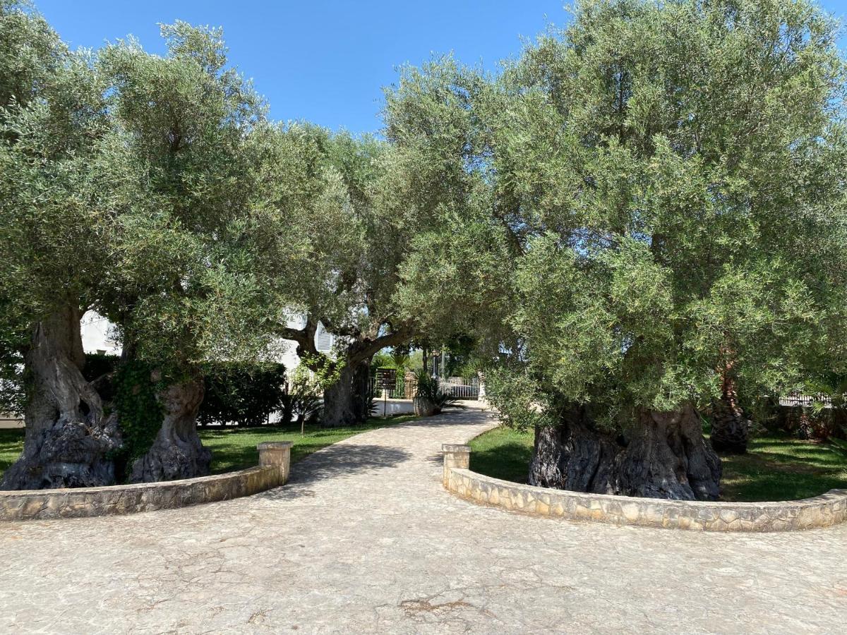 Citta Bianca Country Resort Ostuni Zewnętrze zdjęcie